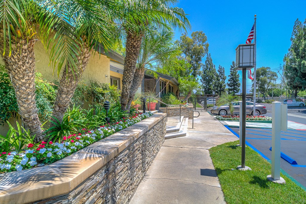 a sidewalk in front of a building with palm trees and a flag